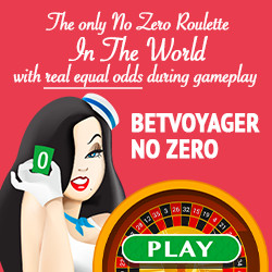 Betvoyager Casino